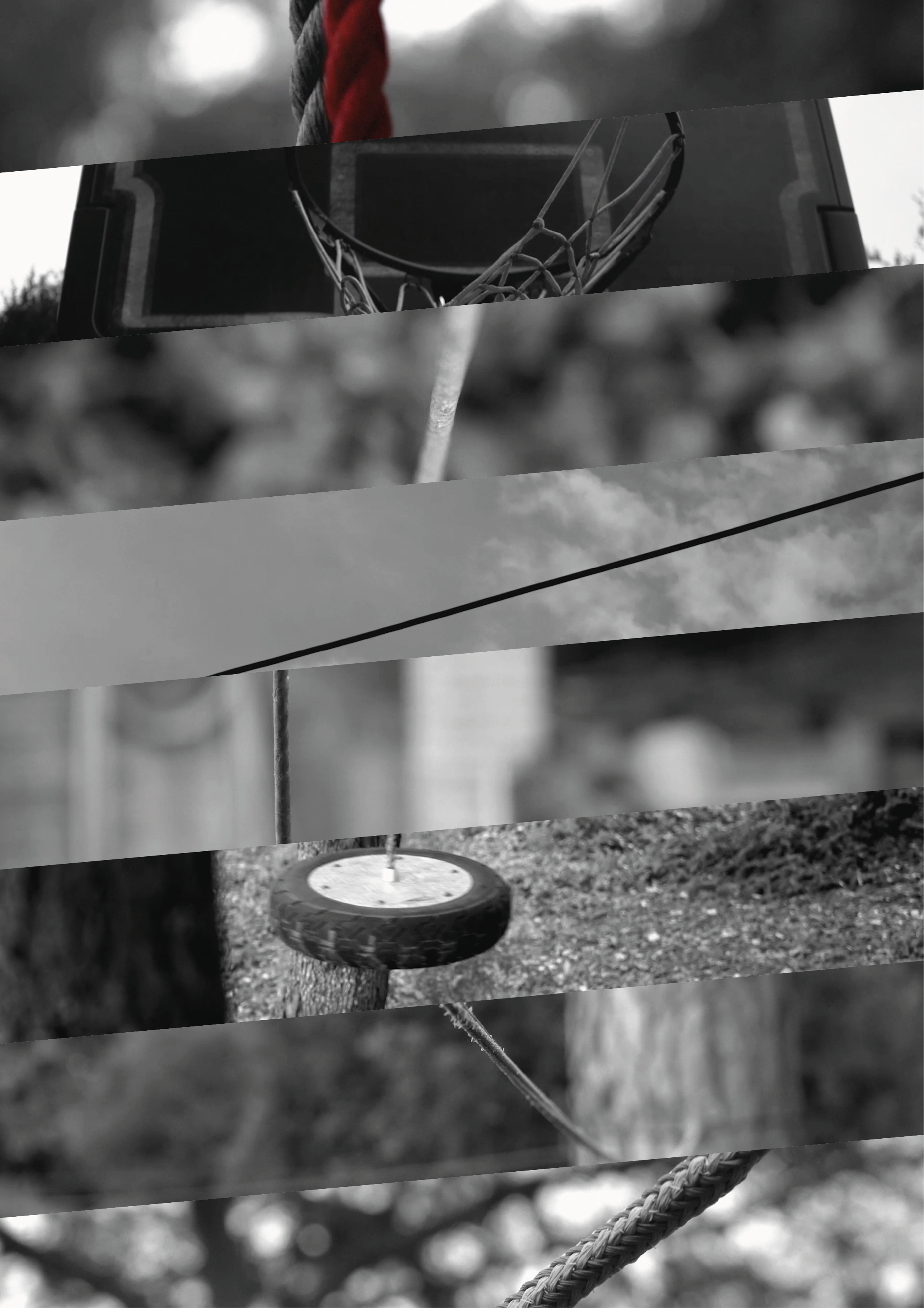 Vista general del proyecto